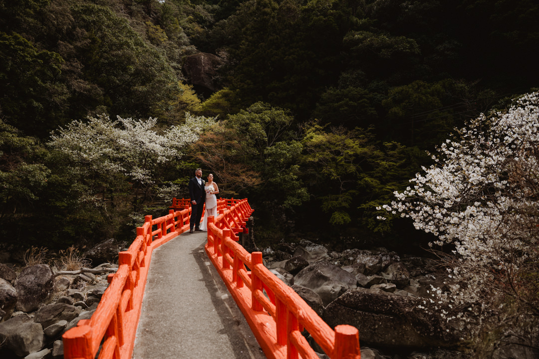 The couple takes a photo on the red bridge.
Cherry blossom Elopement in Wakayama.